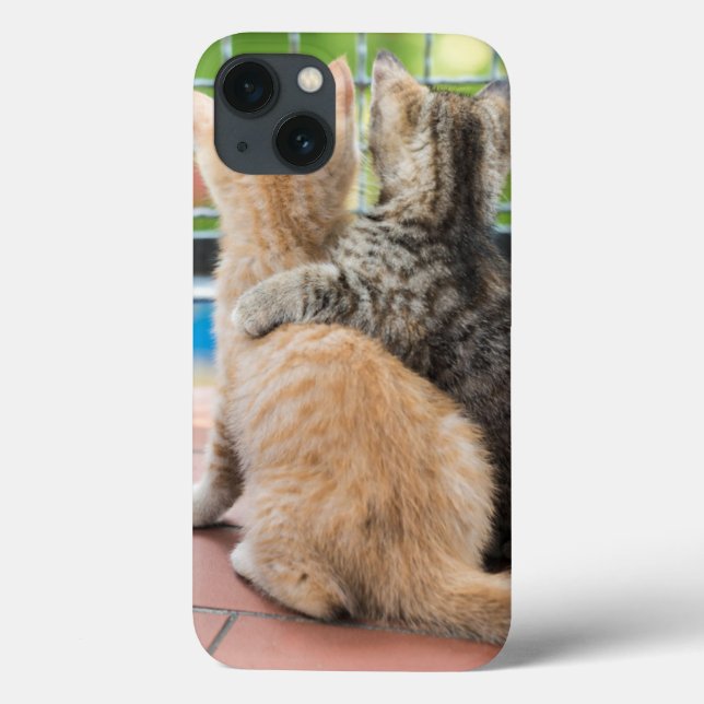 Coques Case-Mate iPhone Images Getty | Deux chatons sur un balcon (Verso)