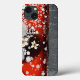 Case-Mate iPhone Case Immortalité 2