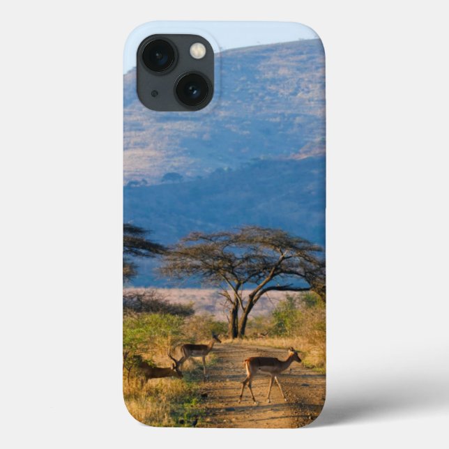 Coques Case-Mate iPhone Impala (Aepyceros Melampus), Hluhluwe-Umfolozi (Verso)