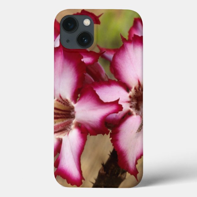 Coques Case-Mate iPhone Impala Lily (Adenium Multiflorum), Kruger (Verso)