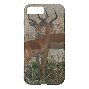 Coques Pour iPhone Impalas sur le Serengeti