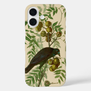 Coques iPhone 16 Impression d'oiseau Grackle violet d'Audubon Botan