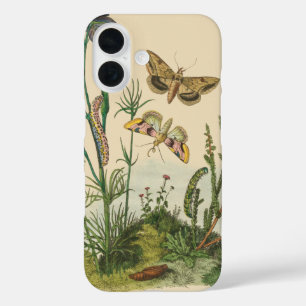Coques iPhone 16 Insectes de jardin vintage, papillons, chenilles