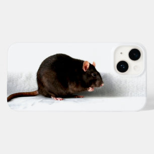 Coque Pour iPhone 14 Iphcna rat