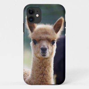 Coques Pour iPhone iPhone d'alpaga 5 cas