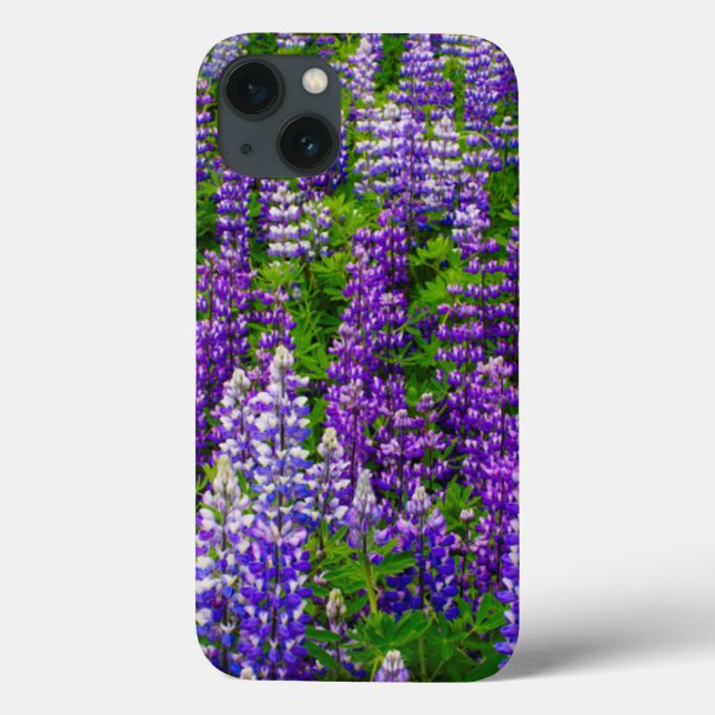 Coques Case-Mate iPhone Islande. Vik i Myrdal. Champ de Lupines (Verso)
