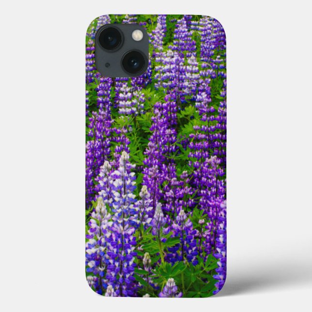 Coques Case-Mate iPhone Islande. Vik i Myrdal. Champ de lupins (Verso)