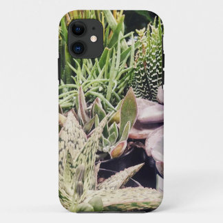 Coque iPhone 11 Jardin de Cactus