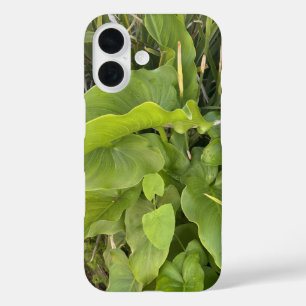 Coques iPhone 16 Jardin Jardin Closeup Nature extérieure Photo