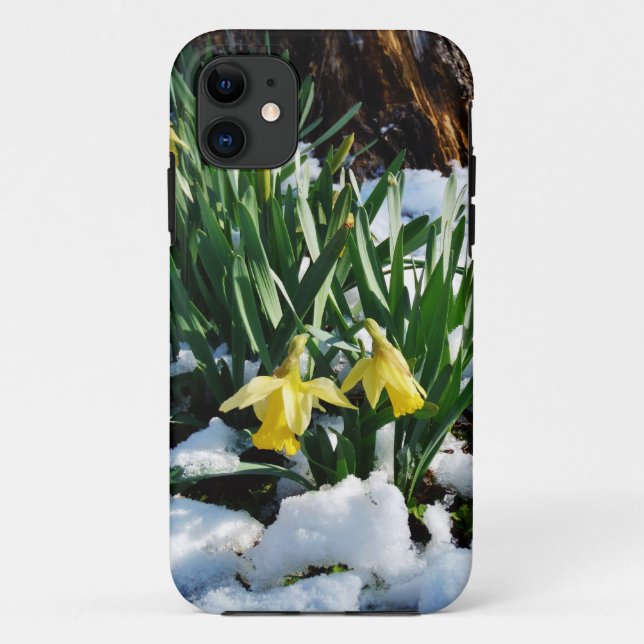 Coques Case-Mate iPhone Jaune Daffodils fleurs dans la neige (Dos)