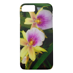 Coque Case-Mate Pour iPhone Jaune rose violet Miltonia Sunset Orchidées