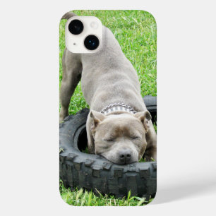 Coque Pour iPhone 14 Plus Jeune Staffy mâle jouant avec son pneu,