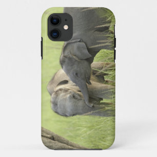 Etui iPhone Case-Mate Jeunes éléphants d'Inde / d'Asie