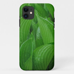 Case-Mate iPhone Case Jeunes Hostas avec des gouttes de pluie
