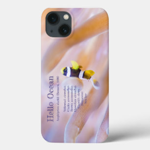 Etui iPhone 13 joli bébé anemone poisson