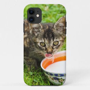 Coque Case-Mate Pour iPhone Joli chaton buvant dans un bol