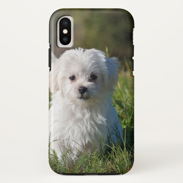 Coques Case-Mate iPhone Joli chiot blanc (Dos)