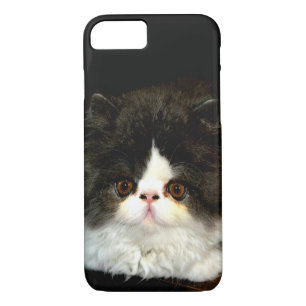 Coque iPhone 7 Joli noir blanc chaton photo
