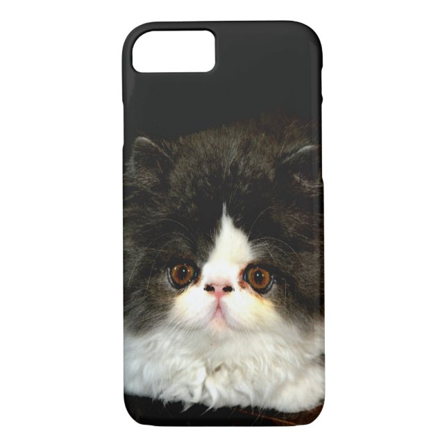 Coques Case-Mate iPhone Joli noir blanc chaton photo (Dos)