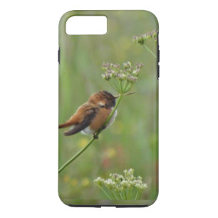 Coques Pour iPhone Joli petit colibri