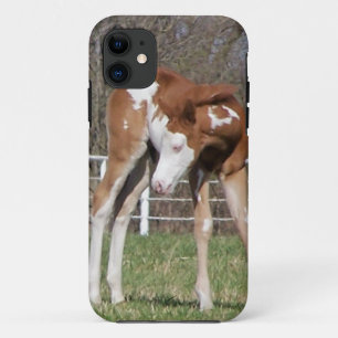 Coque iPhone 11 Joli Pony