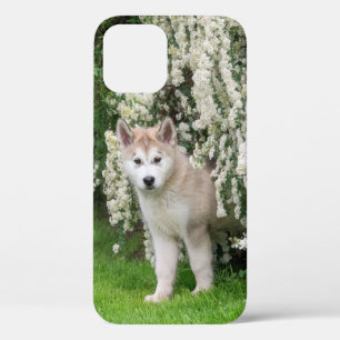 Case-Mate iPhone Case Jolie chiot de chien malamué de l'Alaska en fleurs