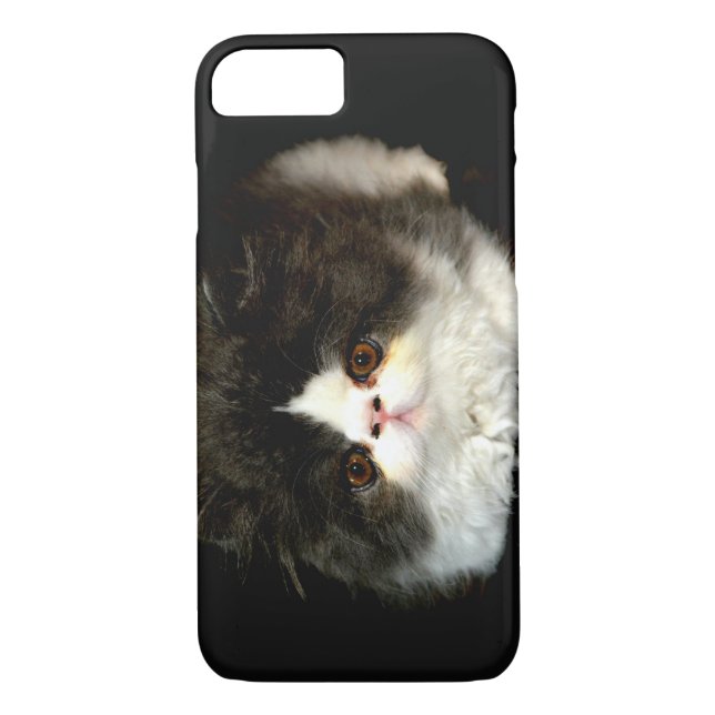 Coques Case-Mate iPhone jolie photo noir blanc chaton chat ragdoll (Dos)