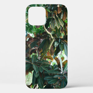 Case-Mate iPhone Case Jungle tropicale verte