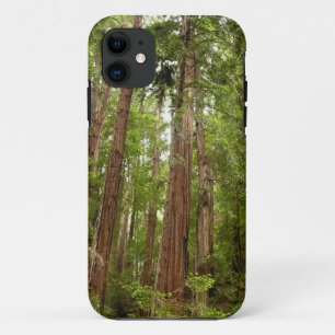 Coque Case-Mate Pour iPhone Jusqu'aux séquoias I à Muir Woods National Monumen