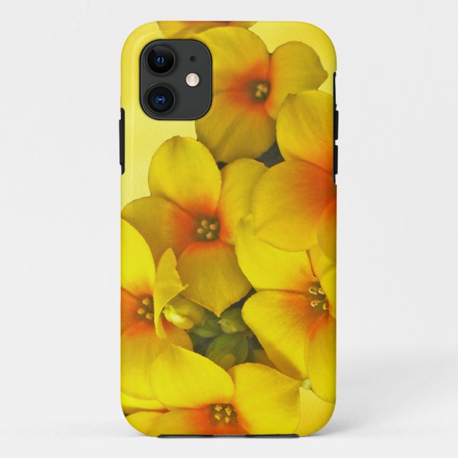 Coques Case-Mate iPhone Kalanchoe Jaune - Soleil Succulent (Dos)