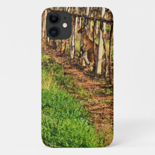 Case-Mate iPhone Case Kangaroo Et Joey Dans Les Vignes De Raisins,