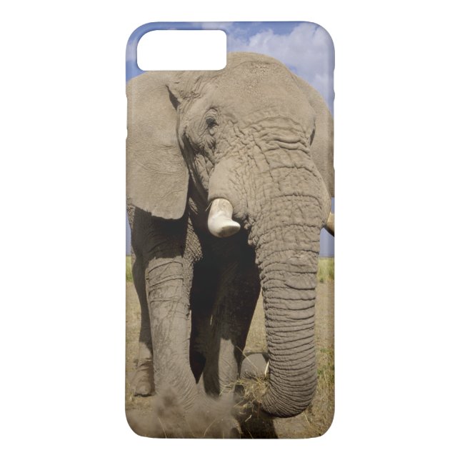 Coques Case-Mate iPhone Kenya : Parc national d'Amboseli, éléphant mâle (Dos)