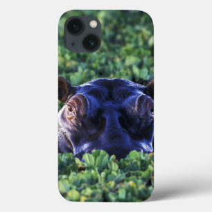 Etui iPhone Case-Mate Kenya, réserve nationale du Masai Mara.