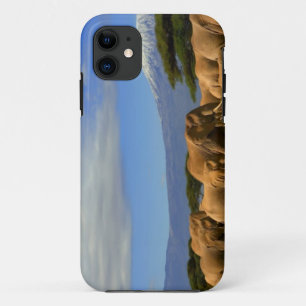 Etui iPhone Case-Mate Kilimanjaro et éléphants
