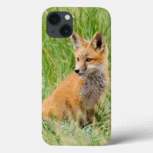 iPhone 13 Case Kit de Fox rouge dans l'herbe près du repaire