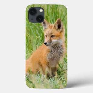iPhone 13 Case Kit de Fox rouge dans l'herbe près du repaire