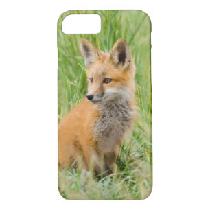 Coques Pour iPhone Kit Renard rouge dans l'herbe près de la tanière