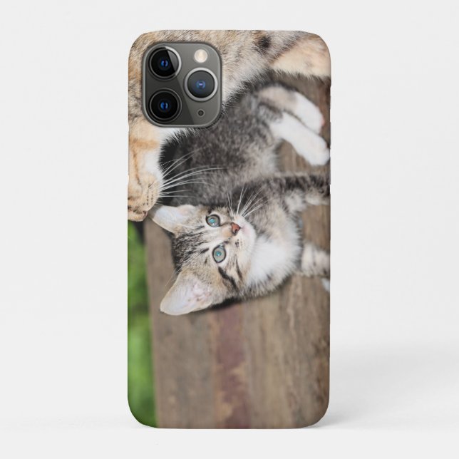 Coques Case-Mate iPhone Kitten (Dos)
