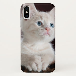 Case-Mate iPhone Case Kitten blanc vulnérable