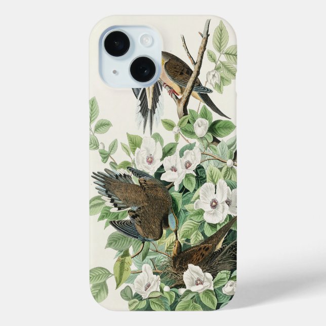 Coques Case-Mate iPhone La colombe matinale d’Audubon Carolina Peinture de (Verso)
