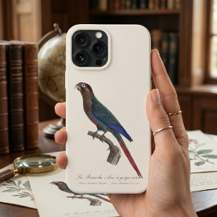 Case-Mate iPhone Case La Conure emmaillotée, Pyrrhura Picta