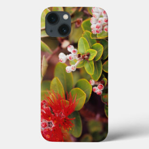 Coques Pour iPhone La Lehua S'Éclate Dans Les Volcans D'Hawaï