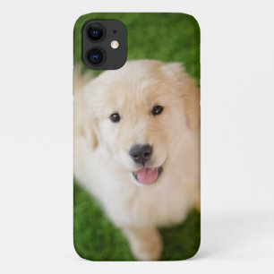 Case-Mate iPhone Case La marionnette d'or sur l'herbe