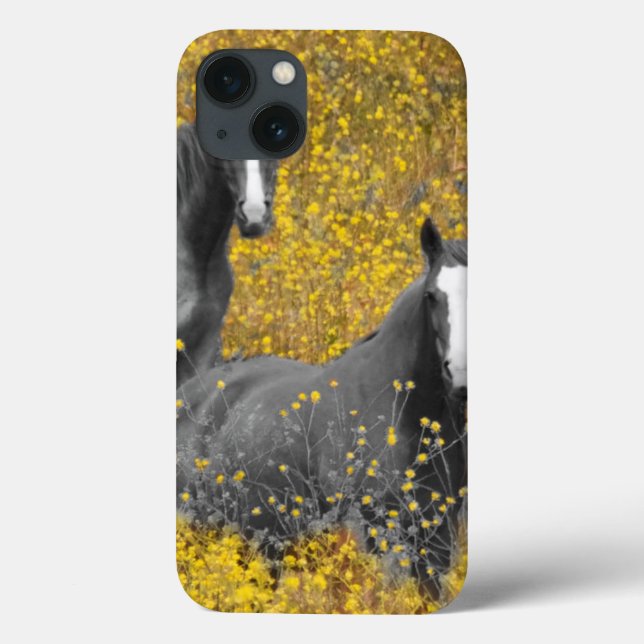 Coques Case-Mate iPhone La moutarde et les chevaux (Verso)