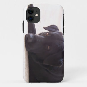 Coques Pour iPhone labrador retriever