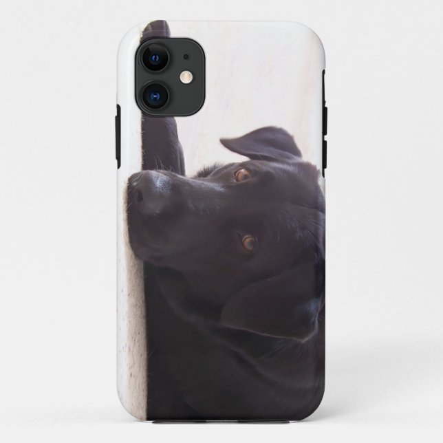 Coques Case-Mate iPhone labrador retriever (Dos)