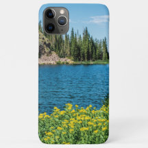 Lac aux fleurs jaunes // Paysage des montagnes