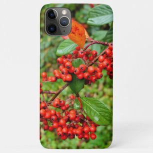 Case-Mate iPhone Case lactée
