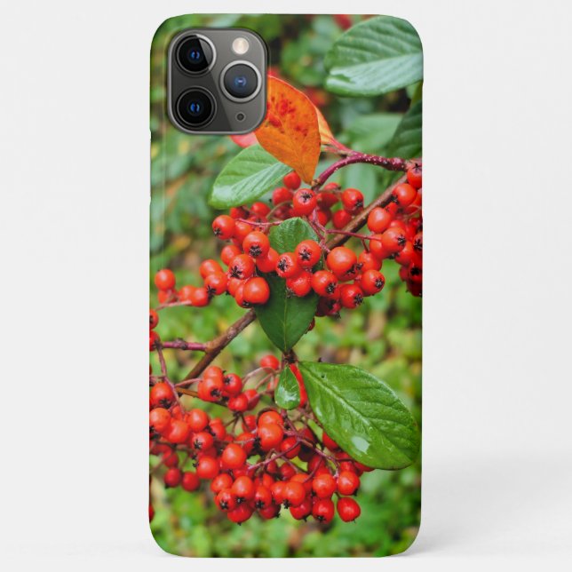 Coques Case-Mate iPhone lactée (Dos)