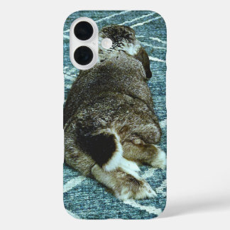 Coques iPhone 16 Lapin 1 détendu